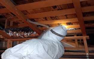 Attic Upgrade (1)