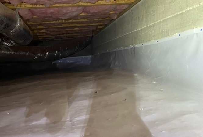 Vapor Barrier 1