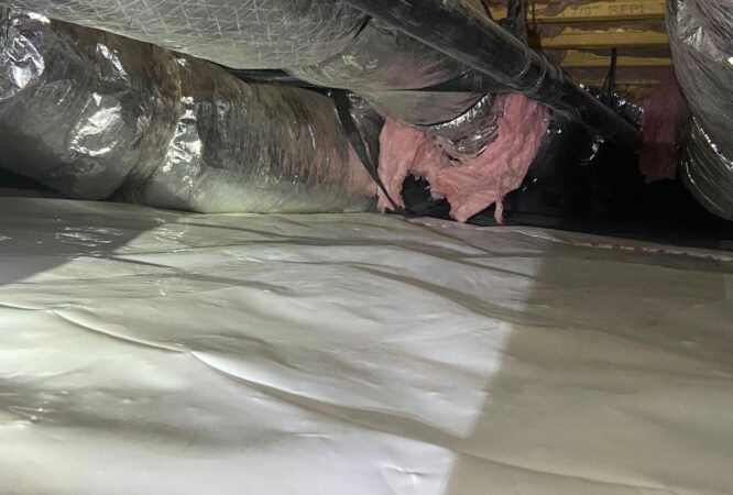 Vapor Barrier 3